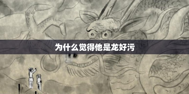 为什么觉得他是龙好污
