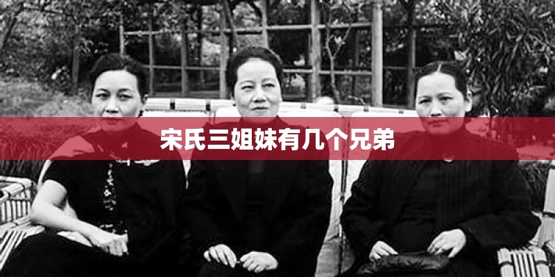 宋氏三姐妹有几个兄弟