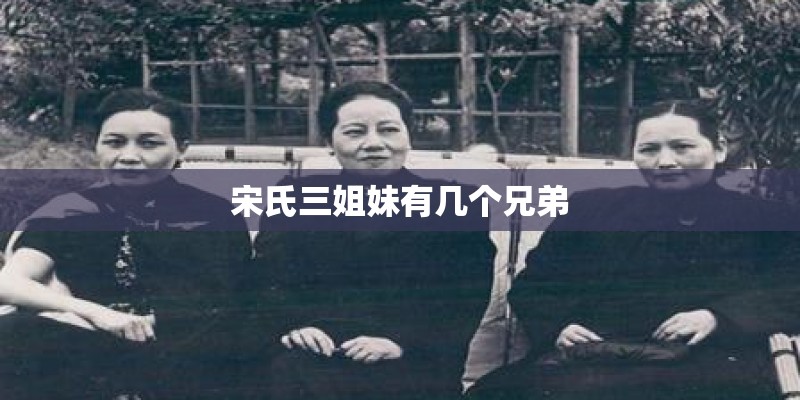 宋氏三姐妹有几个兄弟