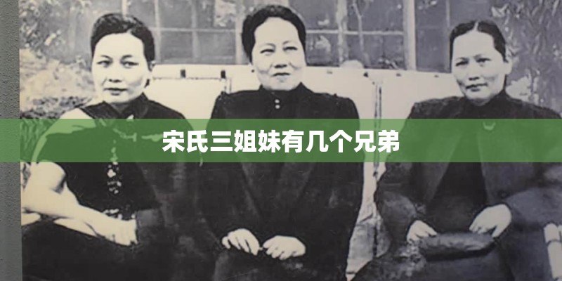 宋氏三姐妹有几个兄弟