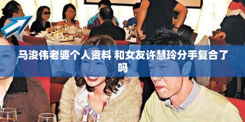 马浚伟老婆个人资料 和女友许慧玲分手复合了吗