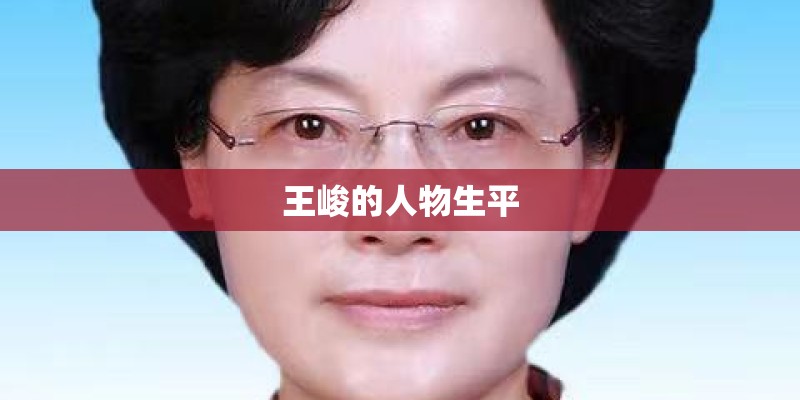 王峻的人物生平