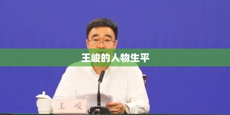 王峻的人物生平