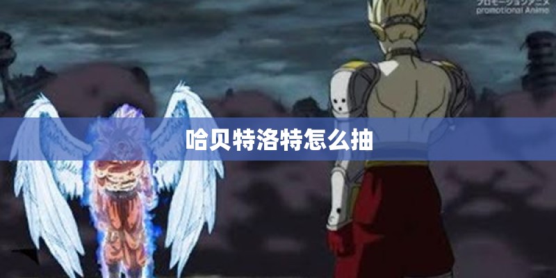 哈贝特洛特怎么抽
