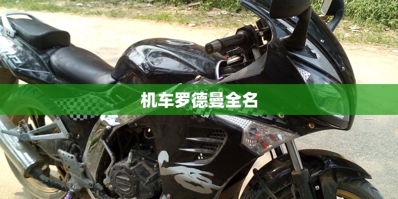 机车罗德曼全名