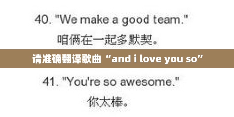 请准确翻译歌曲“and i love you so”