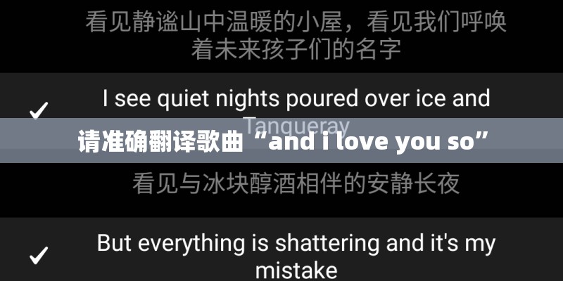请准确翻译歌曲“and i love you so”