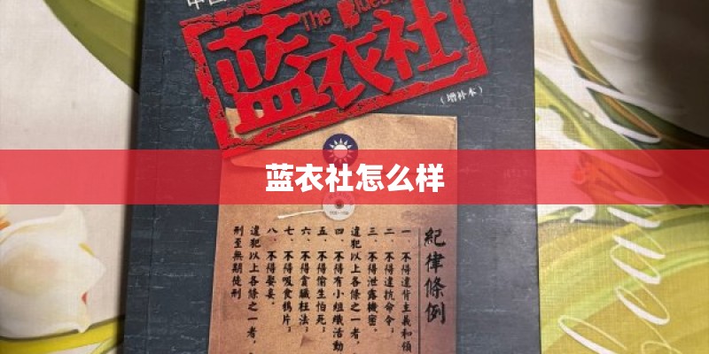 蓝衣社怎么样