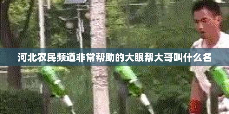 河北农民频道非常帮助的大眼帮大哥叫什么名