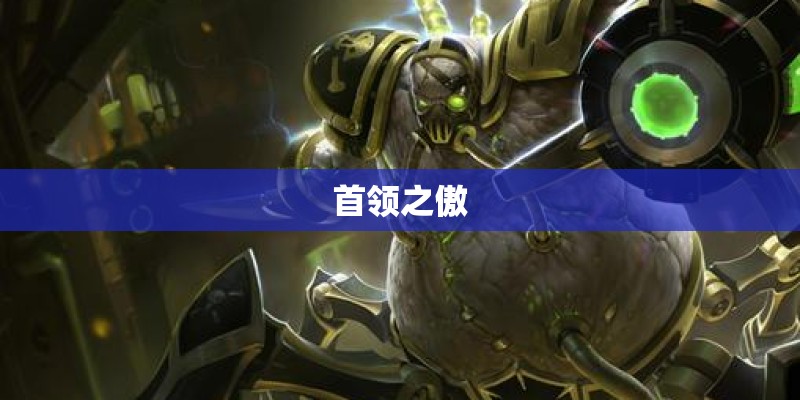 首领之傲