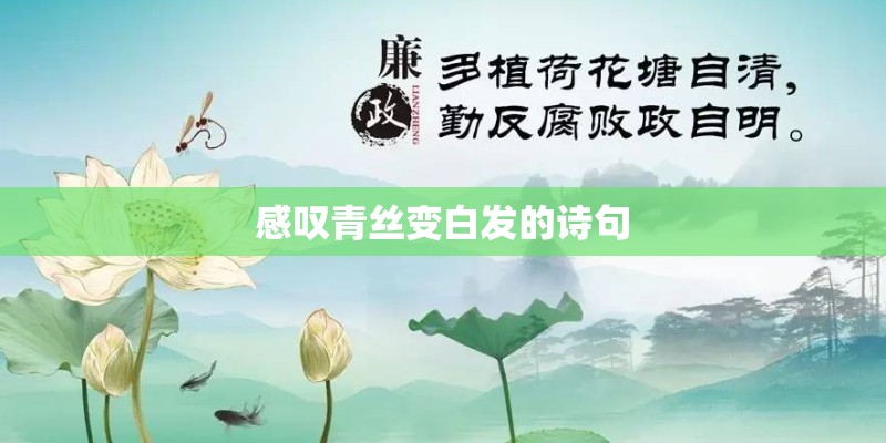 感叹青丝变白发的诗句