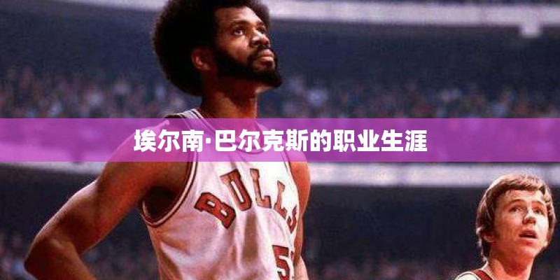 埃尔南·巴尔克斯的职业生涯