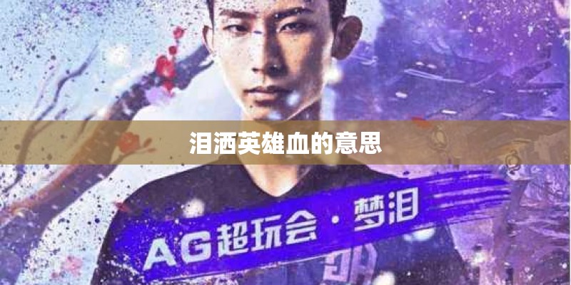 泪洒英雄血的意思
