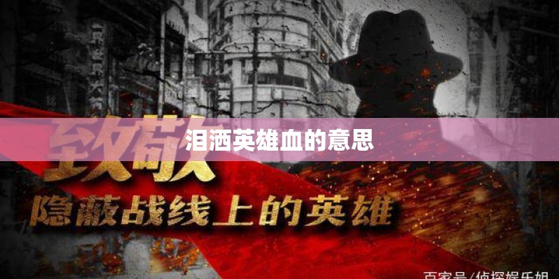 泪洒英雄血的意思