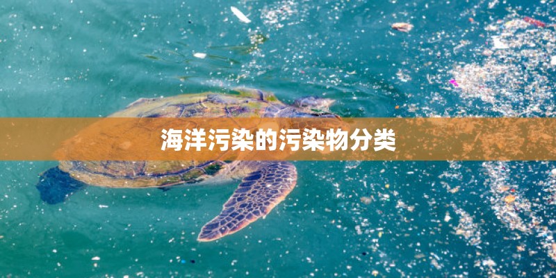 海洋污染的污染物分类