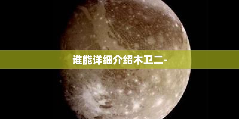 谁能详细介绍木卫二-