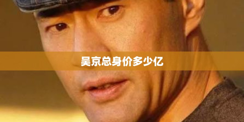 吴京总身价多少亿