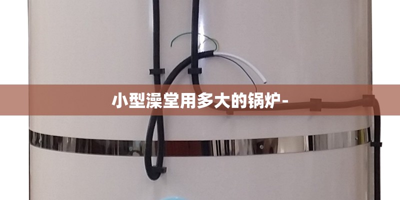 小型澡堂用多大的锅炉-