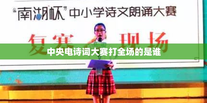 中央电诗词大赛打全场的是谁