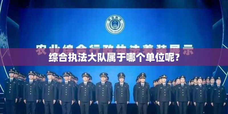 综合执法大队属于哪个单位呢？