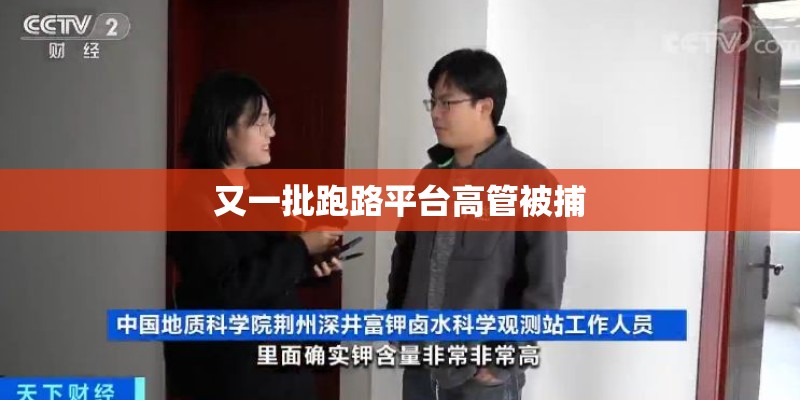 又一批跑路平台高管被捕