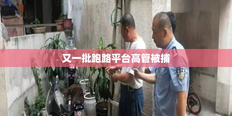又一批跑路平台高管被捕