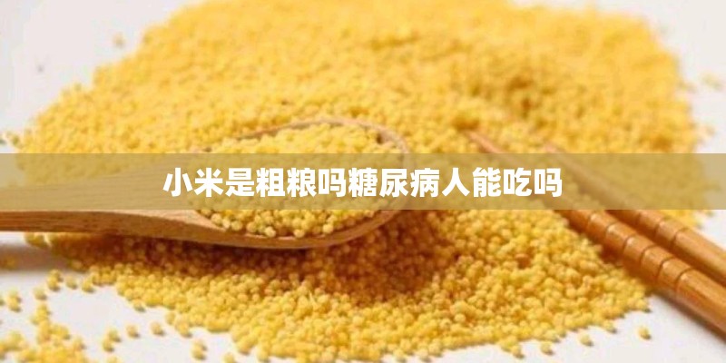 小米是粗粮吗糖尿病人能吃吗