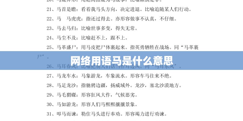 网络用语马是什么意思