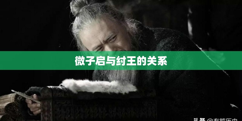 微子启与纣王的关系