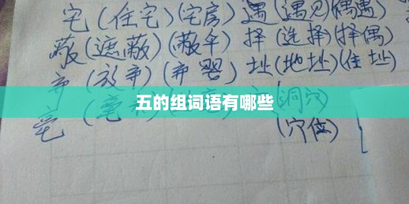 五的组词语有哪些
