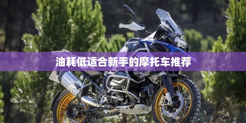 油耗低适合新手的摩托车推荐