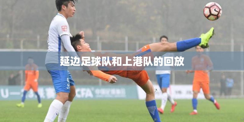 延边足球队和上港队的回放