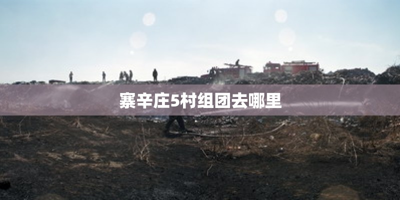 寨辛庄5村组团去哪里