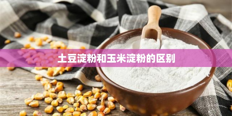 土豆淀粉和玉米淀粉的区别