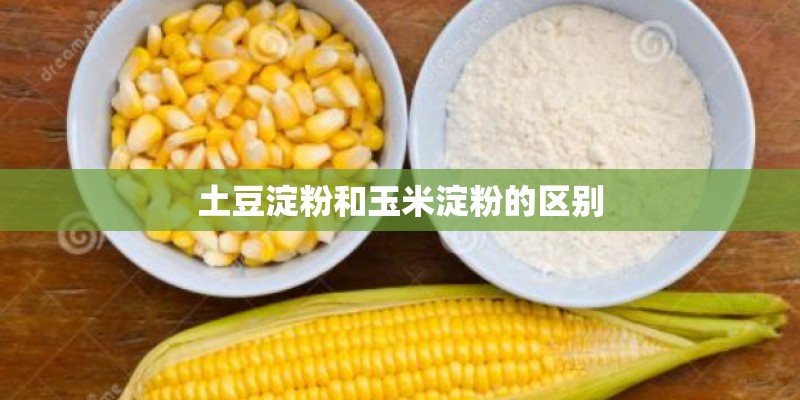 土豆淀粉和玉米淀粉的区别