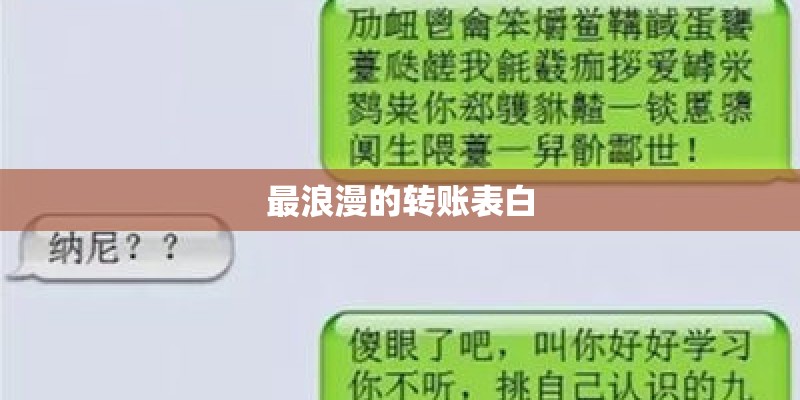 最浪漫的转账表白 最浪漫的转账表白