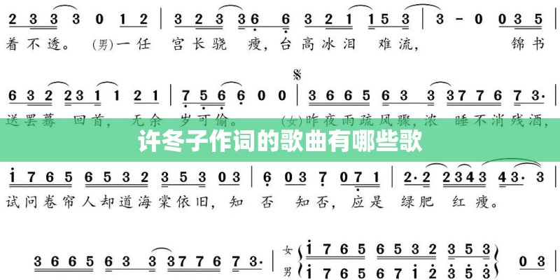 许冬子作词的歌曲有哪些歌