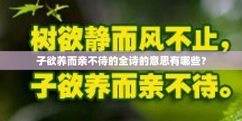子欲养而亲不待的全诗的意思有哪些？