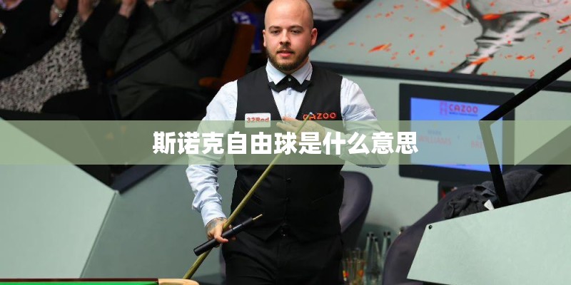 斯诺克自由球是什么意思
