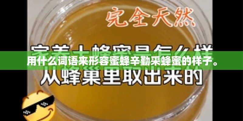 用什么词语来形容蜜蜂辛勤采蜂蜜的样子。