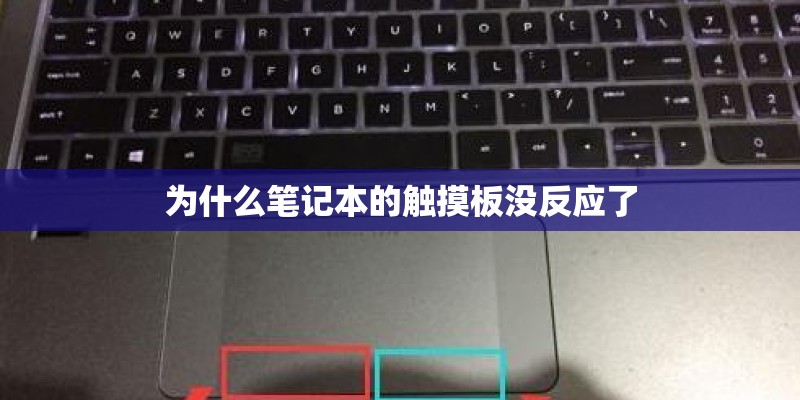 为什么笔记本的触摸板没反应了