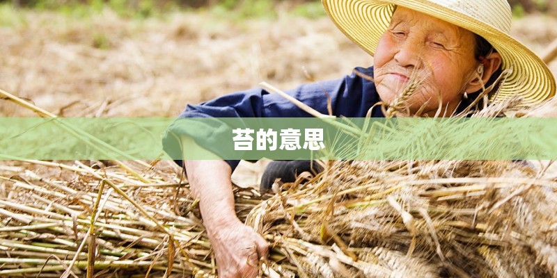 苔的意思