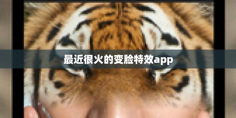 最近很火的变脸特效app 最近很火的变脸特效app