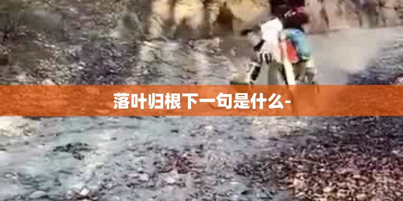 落叶归根下一句是什么- 落叶归根下一句是什么-