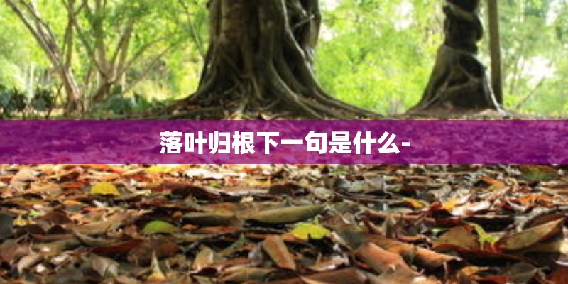 落叶归根下一句是什么- 落叶归根下一句是什么-