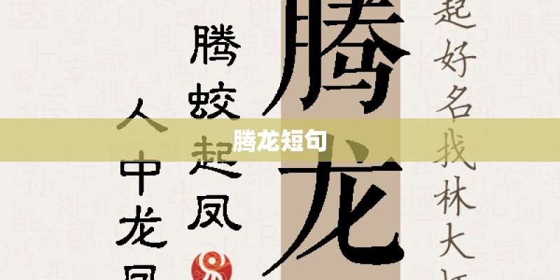 腾龙短句