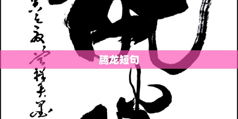 腾龙短句