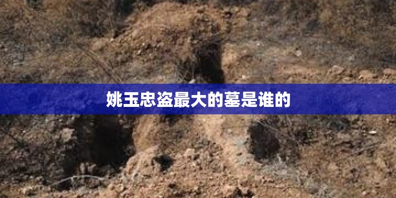 姚玉忠盗最大的墓是谁的 姚玉忠盗最大的墓是谁的