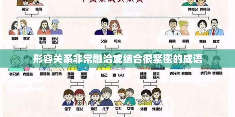 形容关系非常融洽或结合很紧密的成语