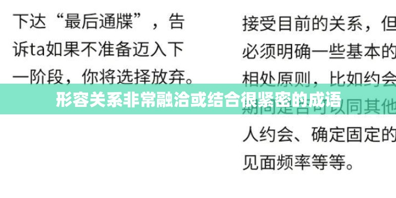 形容关系非常融洽或结合很紧密的成语 形容关系非常融洽或结合很紧密的成语